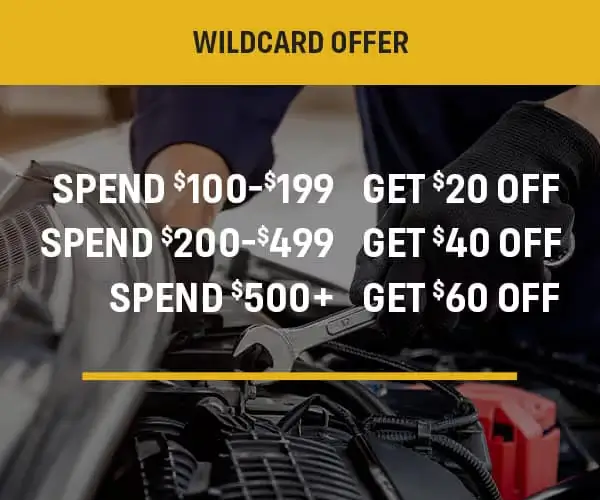 Coupon for Wildcard Service Offer 