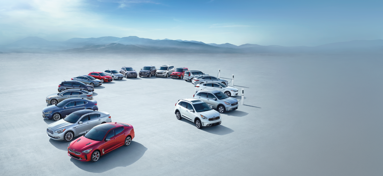 used car dealership