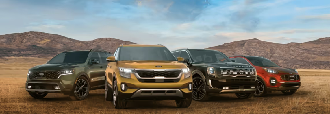 new kia dealership