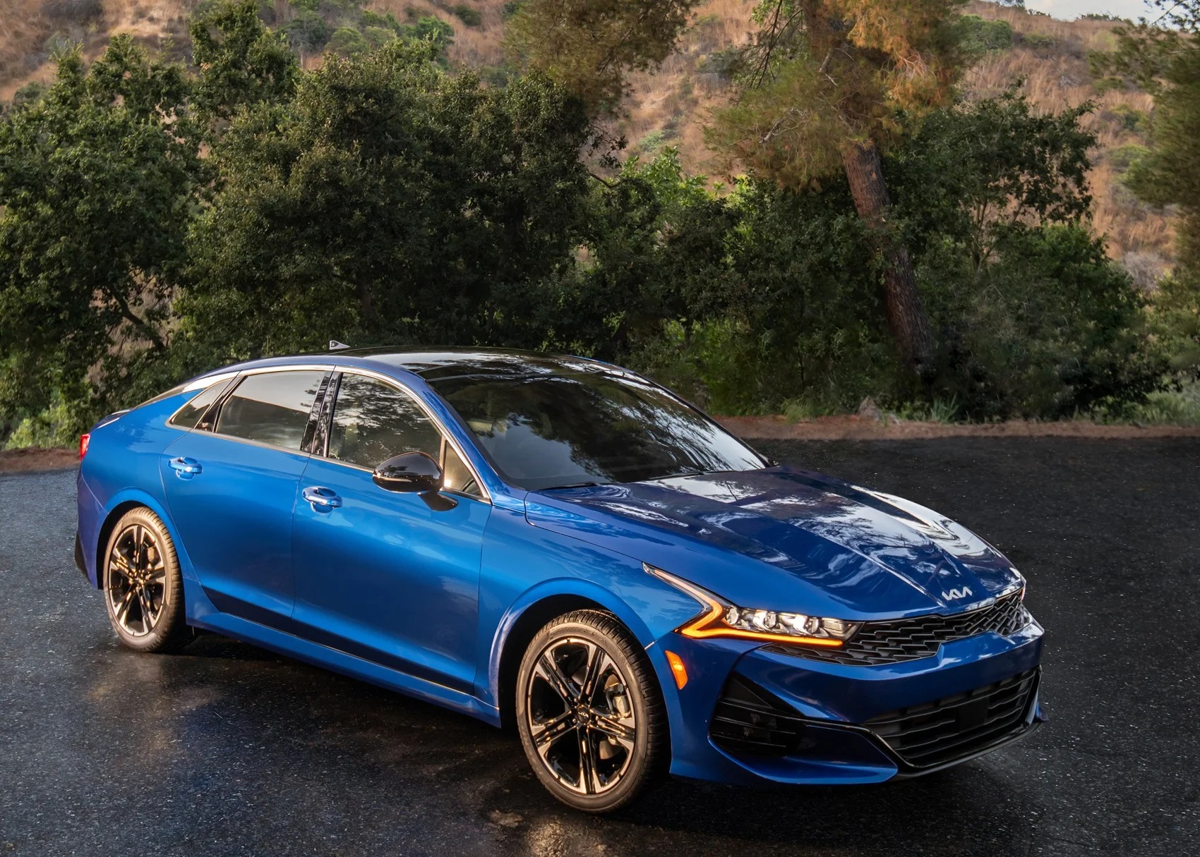 Blue Kia Sedan Parked on the Side of the Road