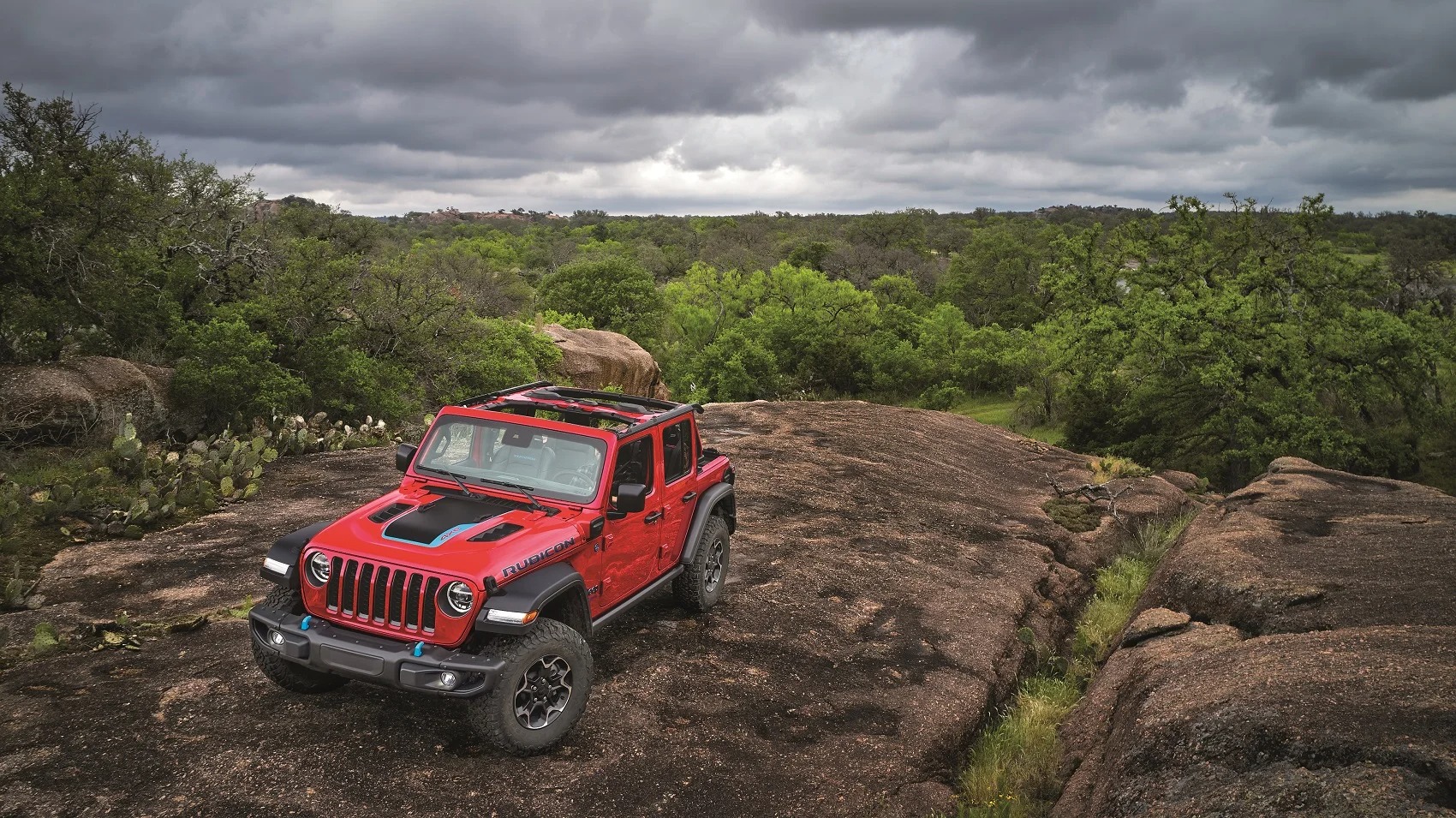 Electric & Hybrid Vehicles for Sale