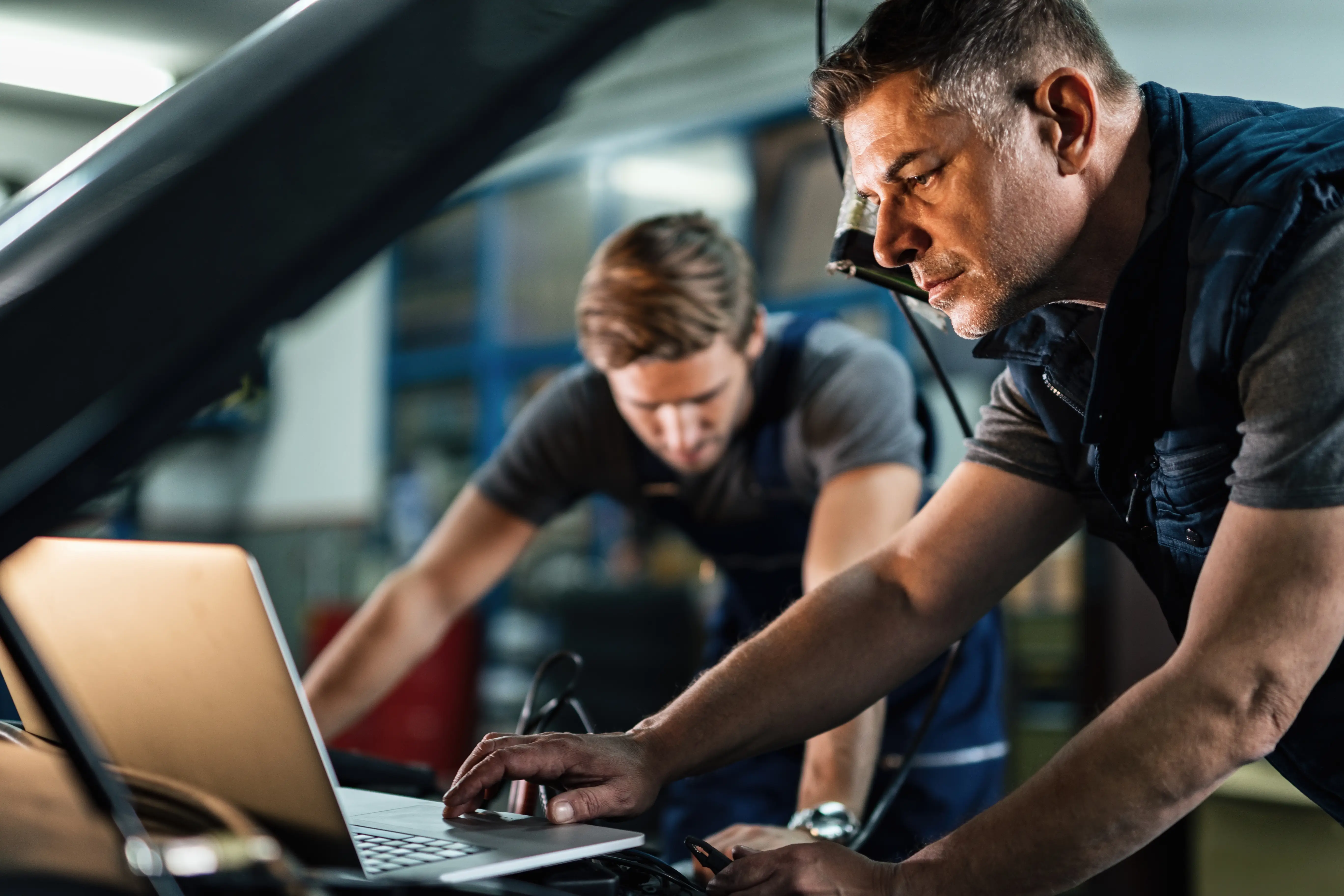 Coupon for We Honor Competitor Coupons 