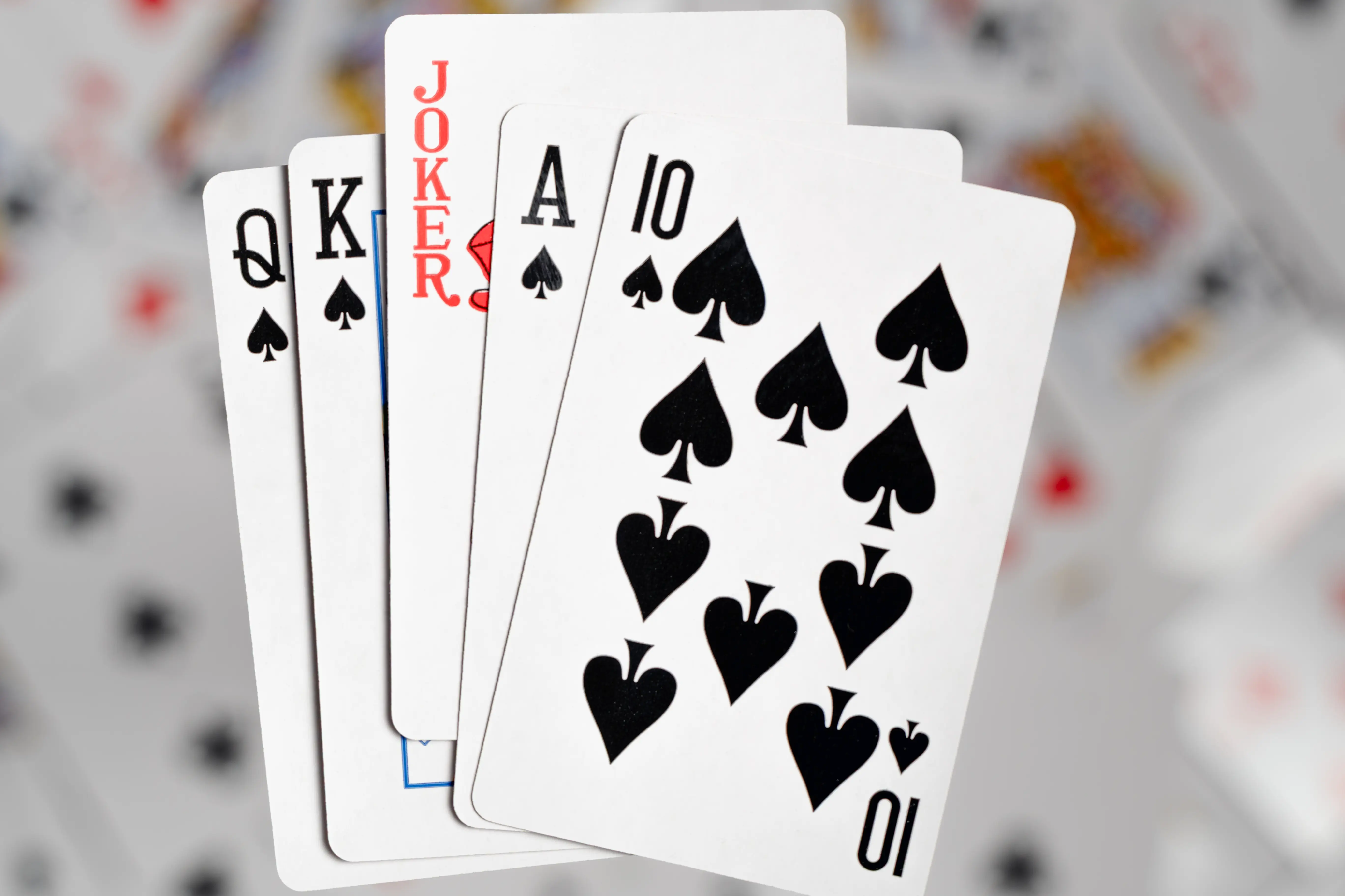 Coupon for Wild Card Savings Up To $150