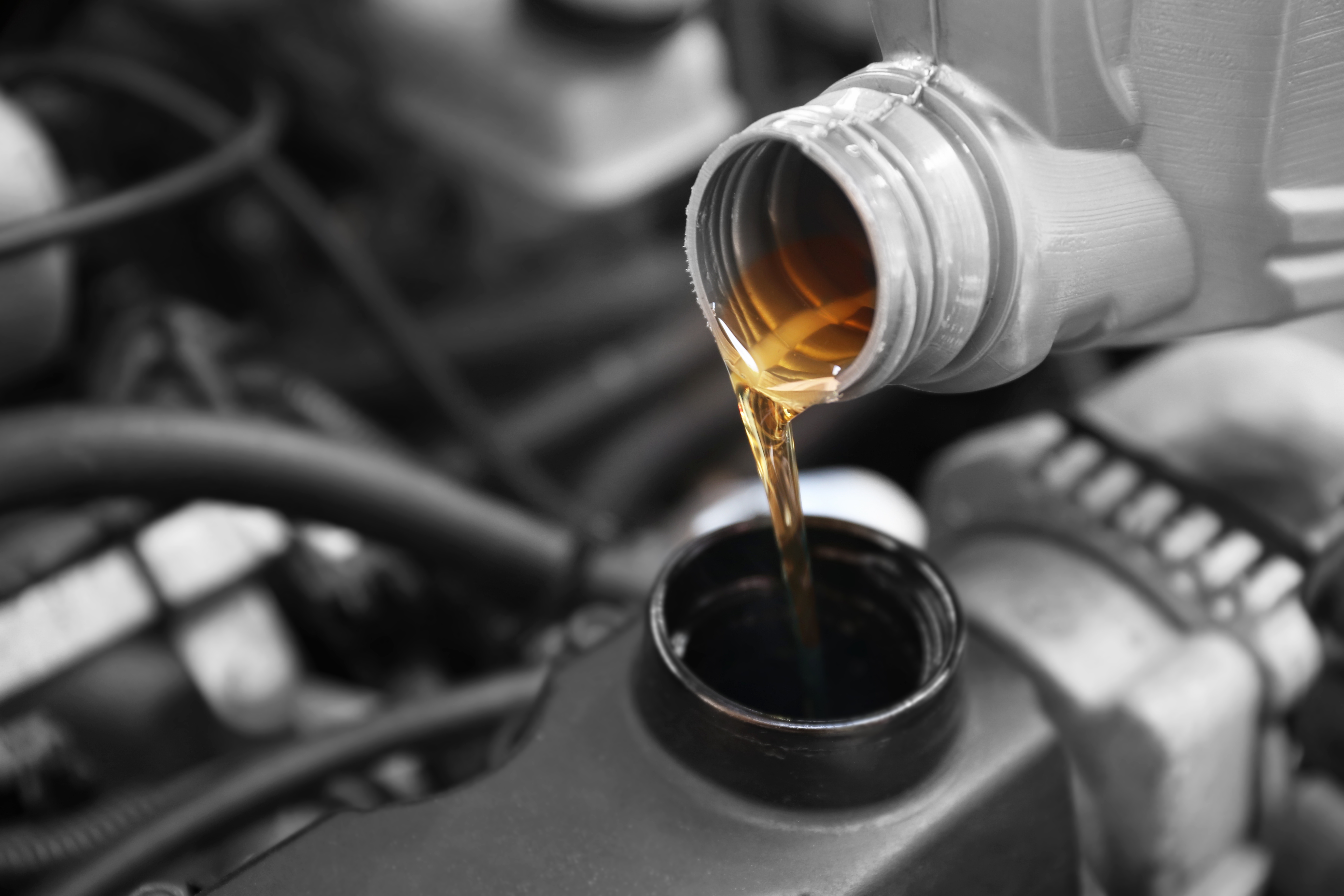 Coupon for Full Synthetic Oil Change $20 Off