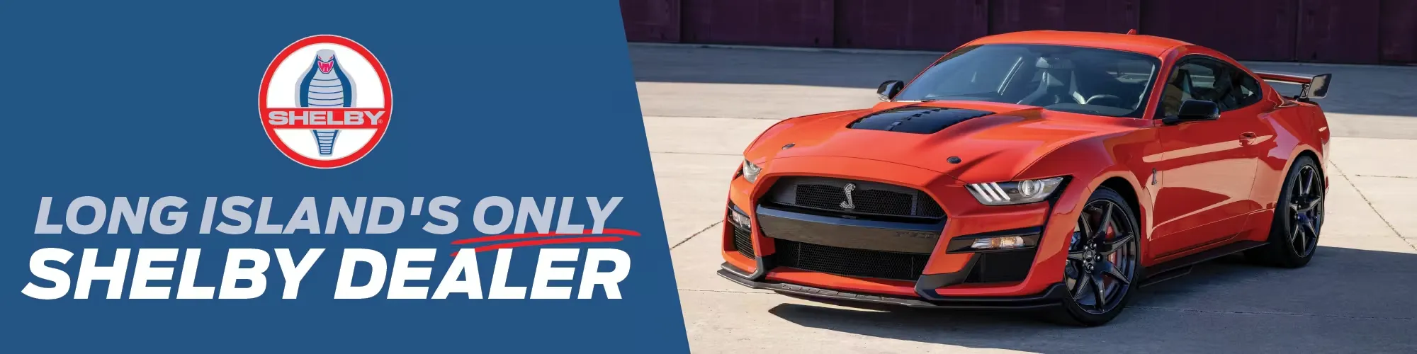 Banner: Sayville Ford is Long Island's ONLY Shelby Dealer!