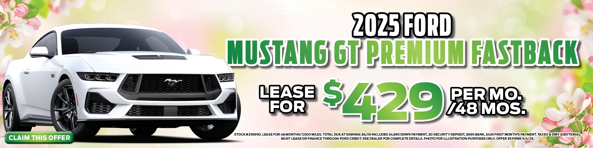 ford mustang special