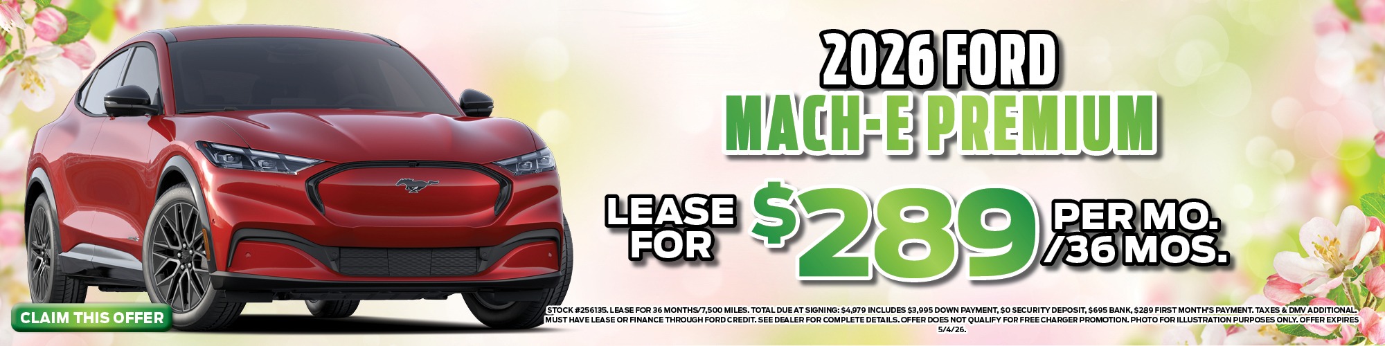 ford mustang mach-e special