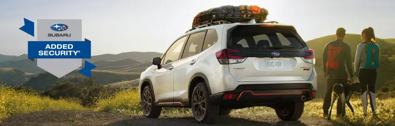 Two people with a dog standing next to a white Subaru with a luggage rack on top