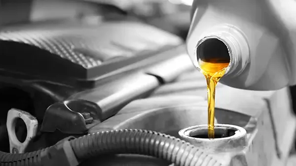 Coupon for Synthetic Blend Oil Change 